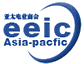 EEIC LOGO