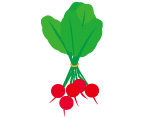 野菜用ゴムバンド 使用例